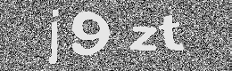 Verification image